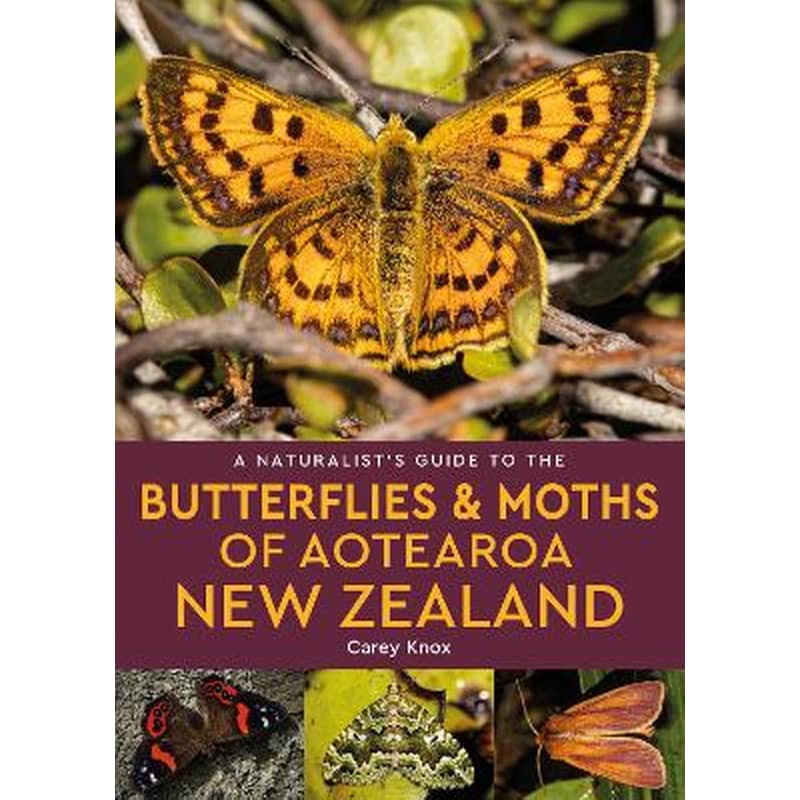 A Naturalists Guide to the Butterflies Moths of Aotearoa New Zealand