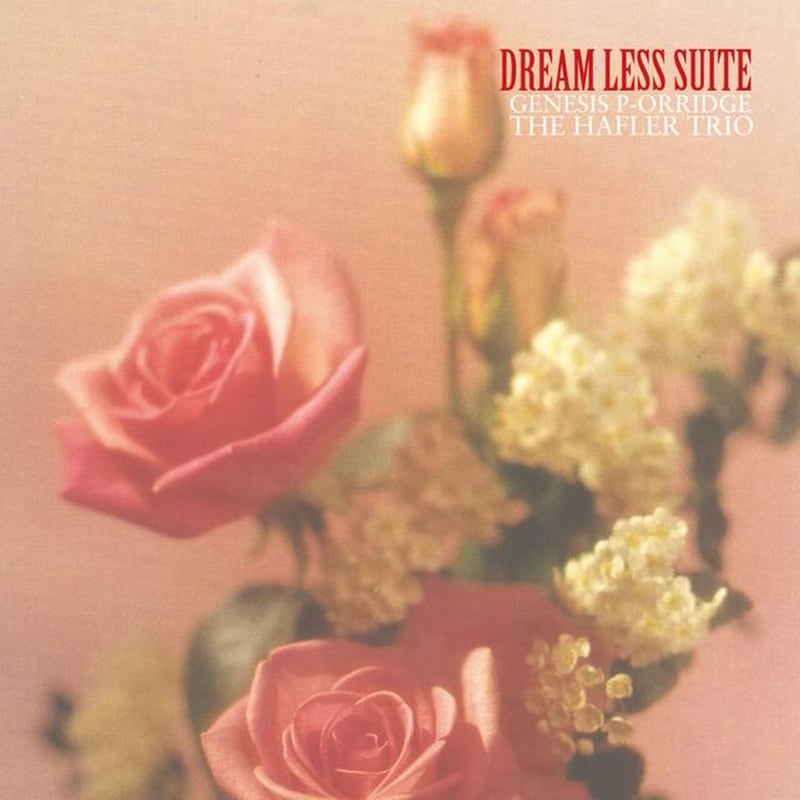 Dream Less Suite (2lp)