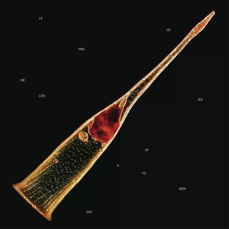 Melodies Of Atonement (2LP)