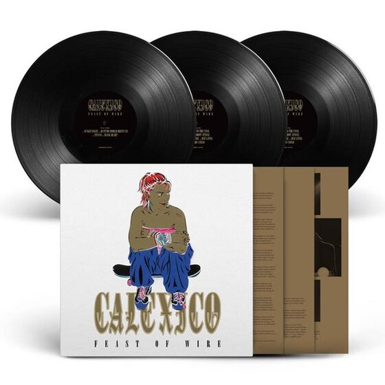 Feast Of Wire Limited 20th Anniversary Deluxe Ed.(3LP) image 1