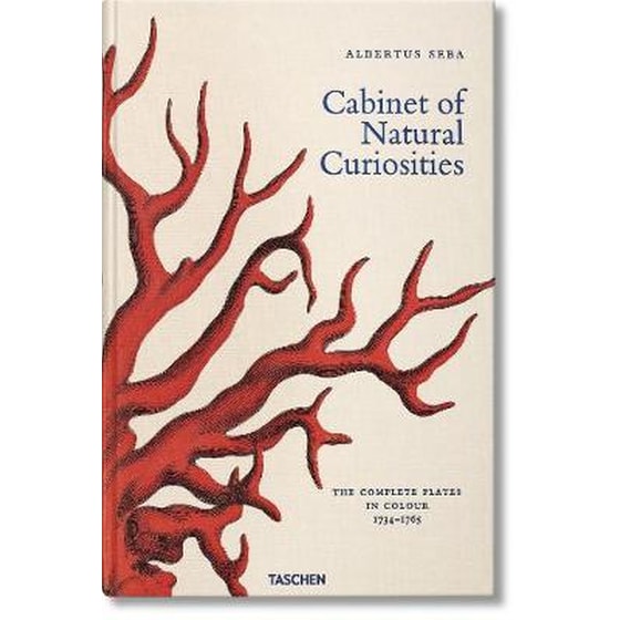 Albertus Seba. Cabinet of Natural Curiosities image 0