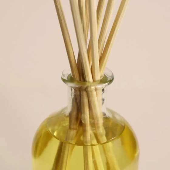 Diffuser Ambientair The Olphactory Oxygen 100ml - Breathe image 4