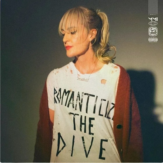 Romanticize The Dive (LP Silver) image 0