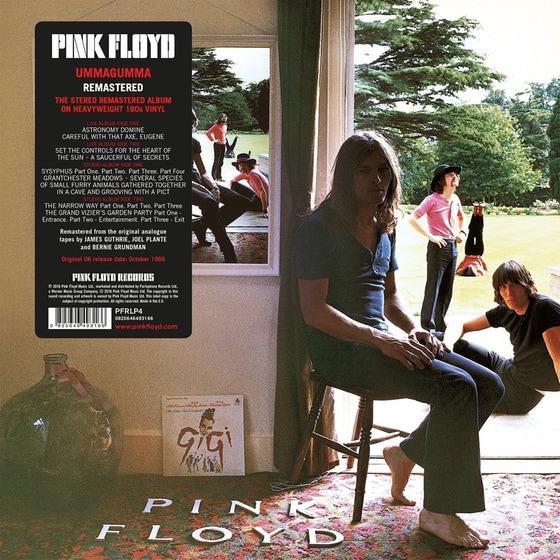 Ummagumma image 0