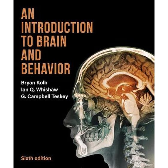 Introduction to Brain and Behavior image 0