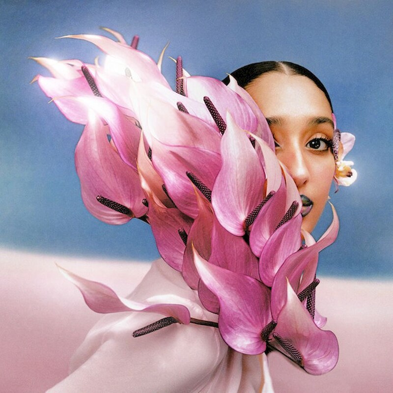 Where The Butterflies Go In The Rain (Clear)