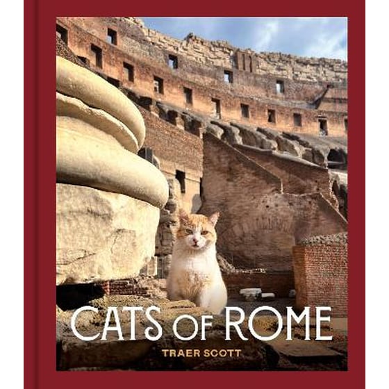 Cats of Rome image 0