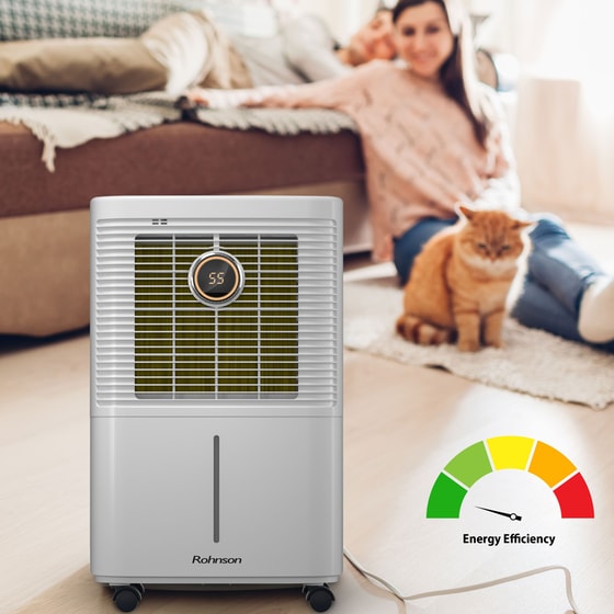 ROHNSON R-91212  True Ion & Fresh Air Αφυγραντήρας 12 lt με Ιονιστή image 5