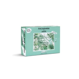 Παζλ Barbican Conservatory Luckies (500 Κομμάτια)