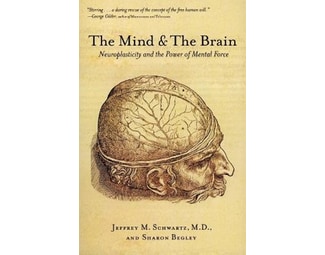 Mind and the Brain image 0