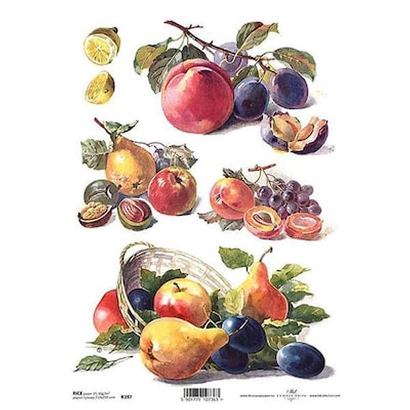 ITD COLLECTION T.JANKOWSKI, W. Ριζόχαρτο fruits 21x29εκ. (itd-r397)