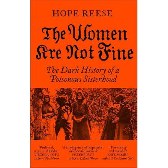 The Women Are Not Fine image 0