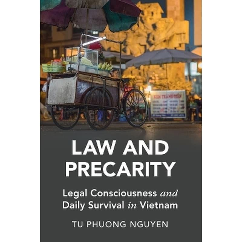 Law and Precarity