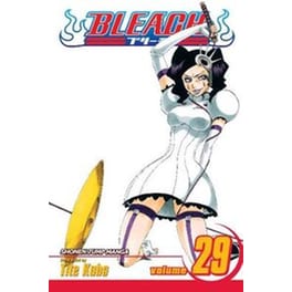 Bleach, Vol. 29