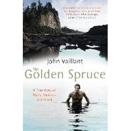 Golden Spruce