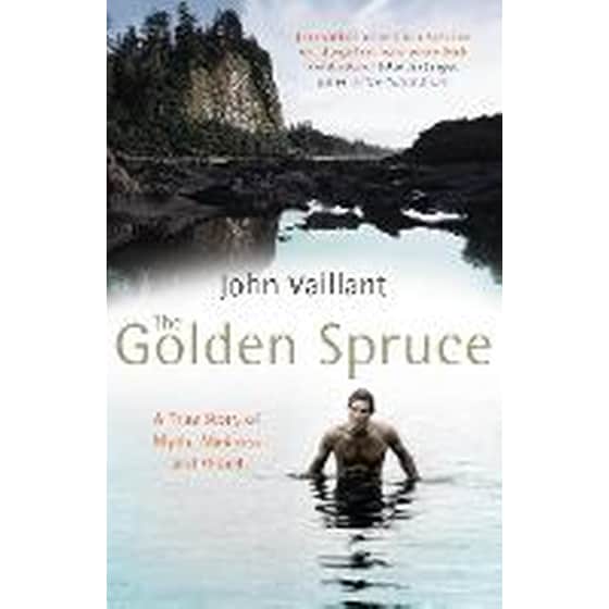 Golden Spruce image 0