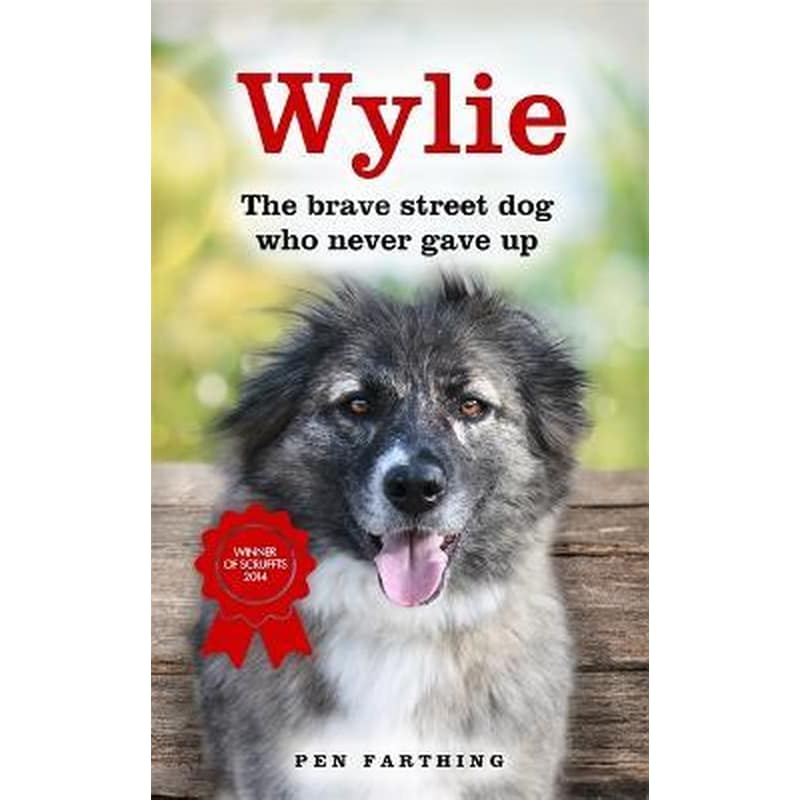Wylie : The Brave Street Dog Who Never Gave Up
