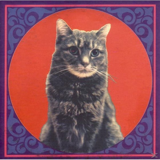 No Music Of Aiffs image 0