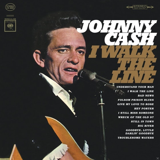 I Walk The Line image 0