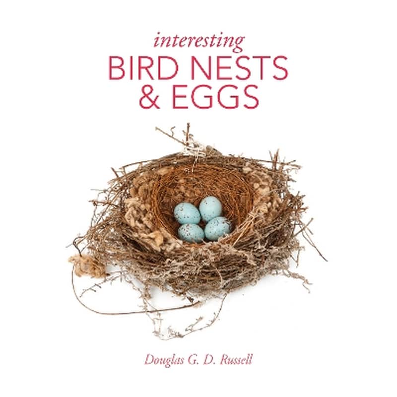 Interesting Bird Nests and Eggs