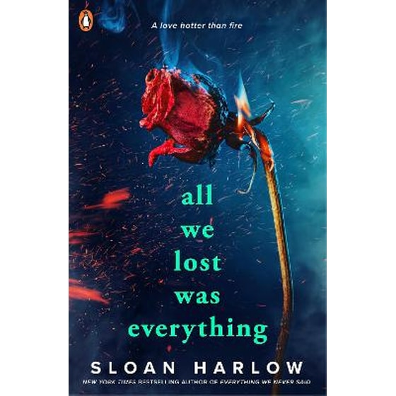 All We Lost Was Everything image 0