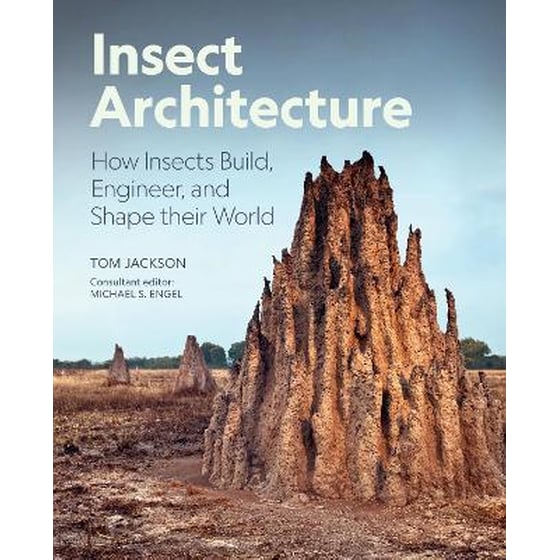 Insect Architecture image 0