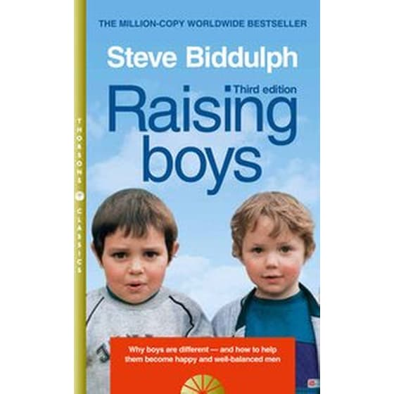 Raising Boys image 0