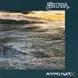 Moonflower