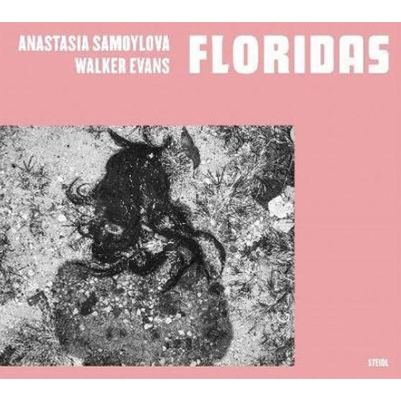 Anastasia Samoylova, Walker Evans: Floridas 1699346