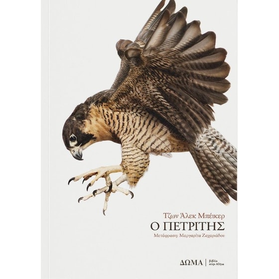 Ο πετρίτης image 0