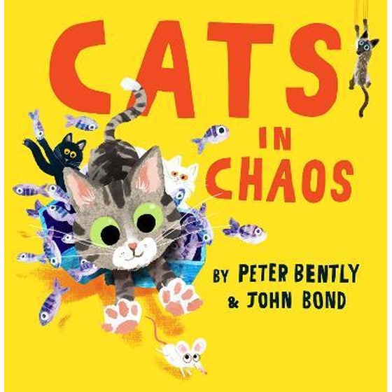 Cats in Chaos image 0