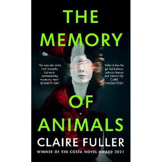 Memory of Animals image 0