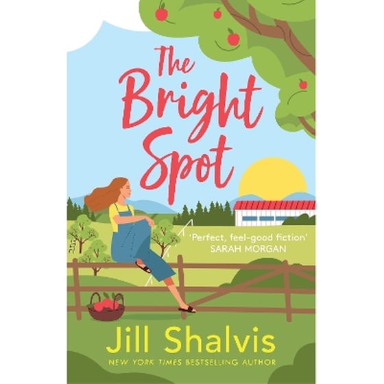 The Bright Spot image 0