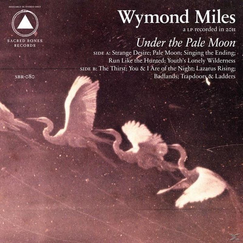 Under The Pale Moon