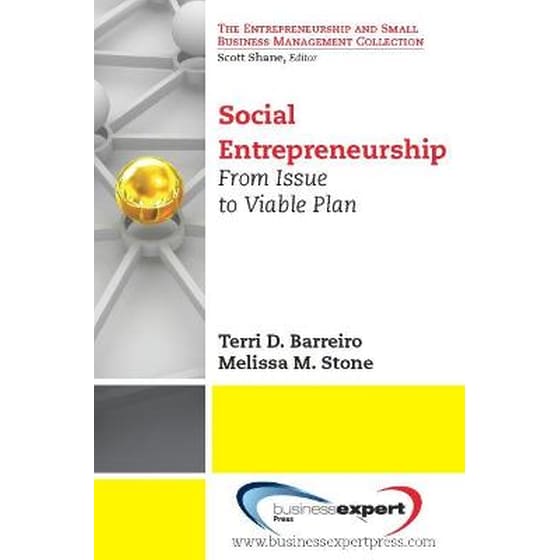 Social Entrepreneurship image 0