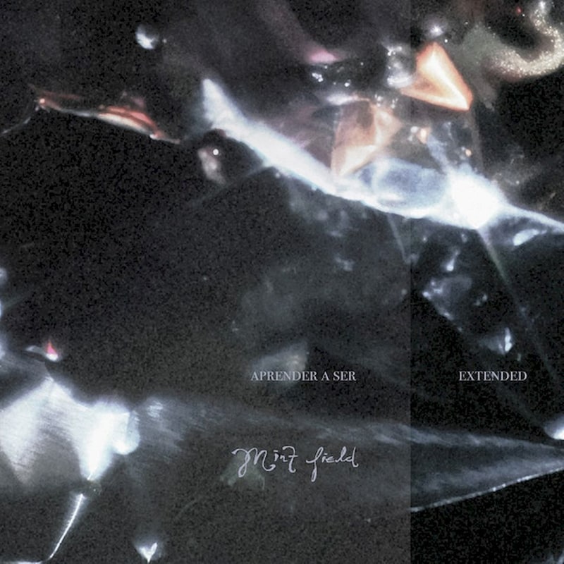 Aprender A Ser: Extended (Milky LP)