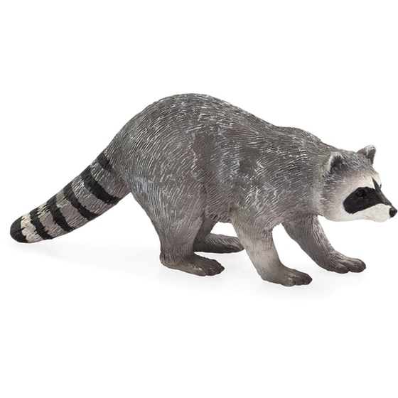 Ρακούν Animal Planet (M) image 0