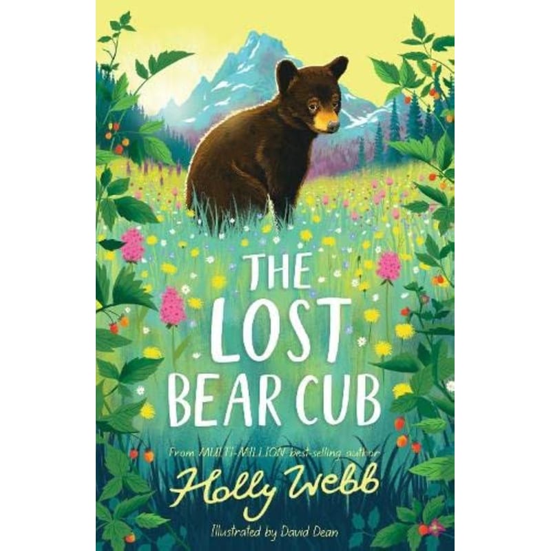 The Lost Bear Cub