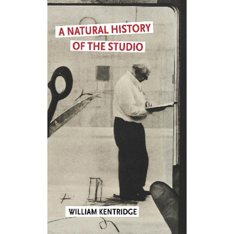 A Natural History of the Studio