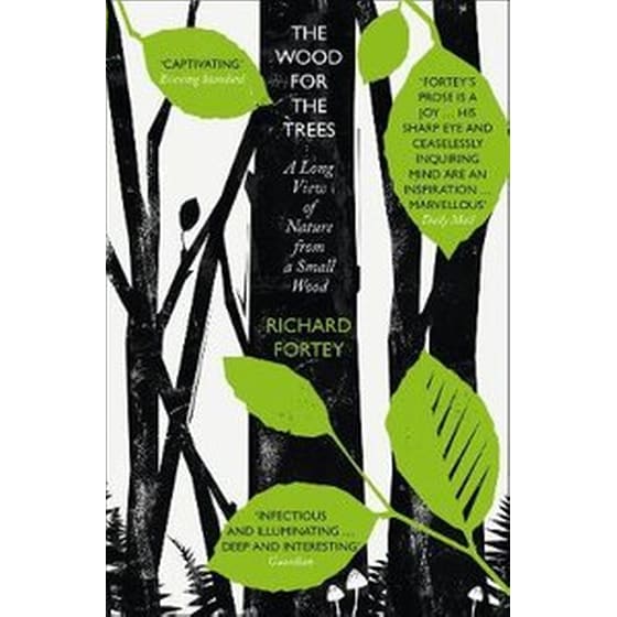The Wood for the Trees image 0