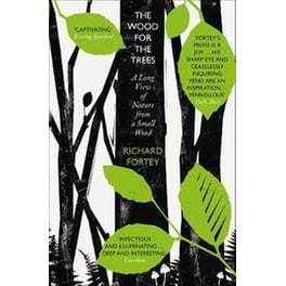 The Wood for the Trees