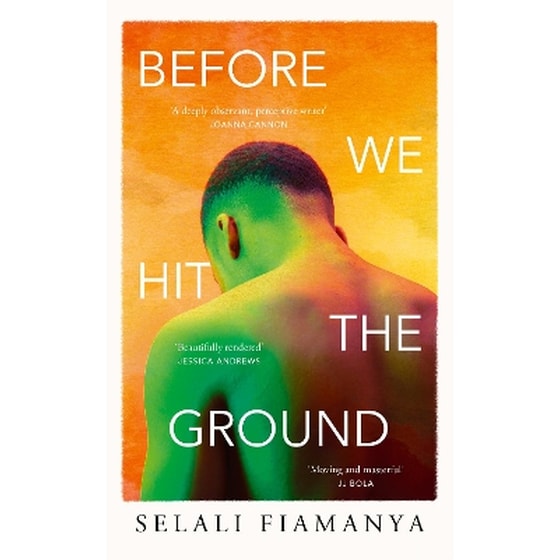 Before We Hit the Ground image 0