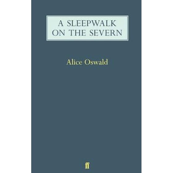 A Sleepwalk on the Severn image 0