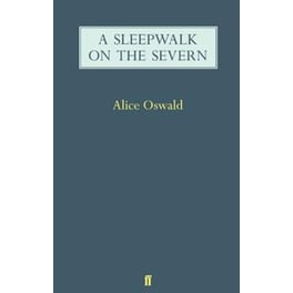 A Sleepwalk on the Severn