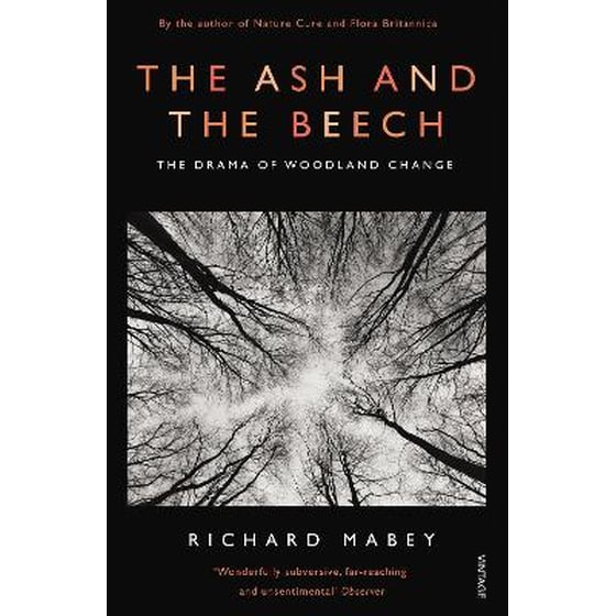 Ash and The Beech image 0