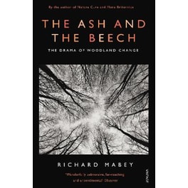 Ash and The Beech