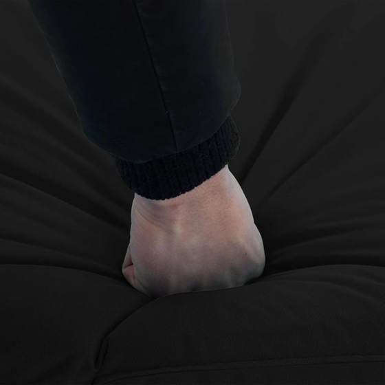 Ξαπλώστρα VidaXL από Ύφασμα Oxford 175x56x10 cm - Μαύρη image 7