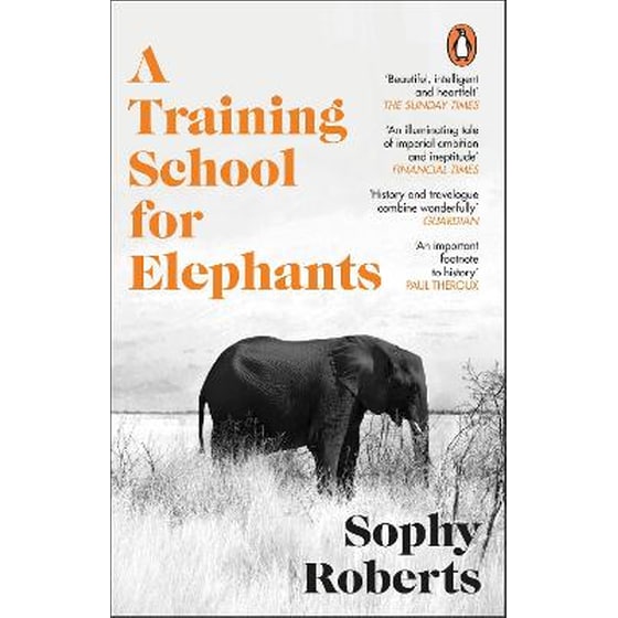 A Training School for Elephants image 0