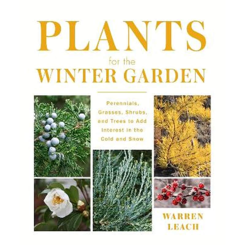 Plants for the Winter Garden