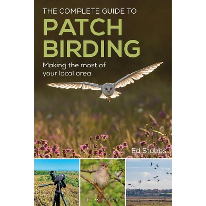 The Complete Guide To Patch Birding